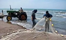 ممنوعیت صید کیکا از خزر