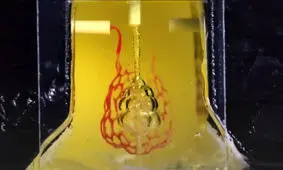 ساخت اعضای بدن با چاپ سه بعدی/ ویدئو