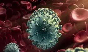 پای کرونای هندی به یزد باز شد؟