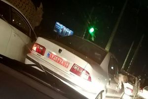برکناری یک مدیر دولتی به دلیل سگ‌گردانی با خودروی پلاک قرمز