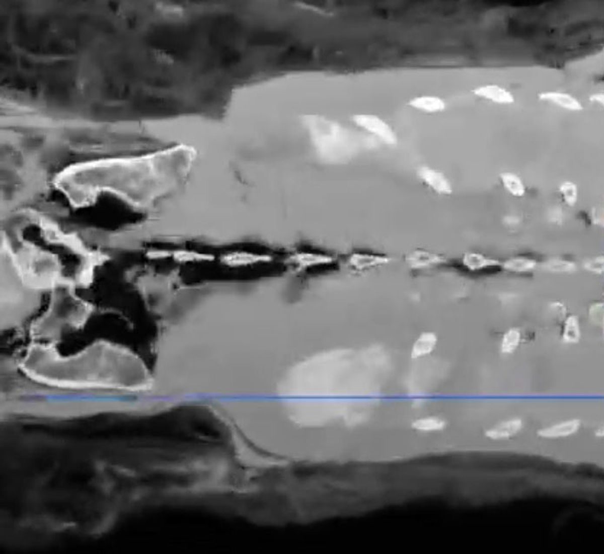 یافتن جنین در مومیایی ۲ هزار ساله/ ویدئو