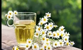 همه چیز درباره بابونه