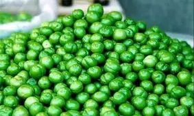 ممنوعیت خوردن گوجه سبز برای ۳ گروه/ میوه‌های بهاری حساسیت ایجاد می‌کنند