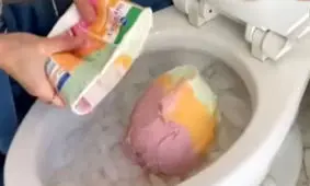 محتویات عجیب و خوشمزه یک توالت فرنگی/ ویدئو