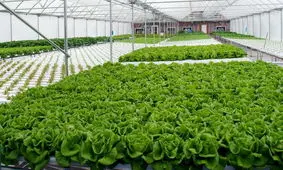 کنترل اقلیم گلخانه با سامانه هوشمند مبتنی بر اینترنت اشیاء