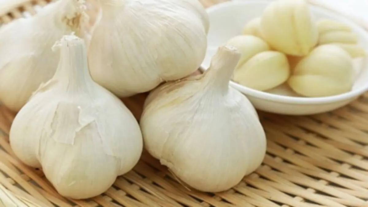 چگونه سیر را به راحتی پوست بکنیم؟/ ۲ روش برای نگهداری از آن
