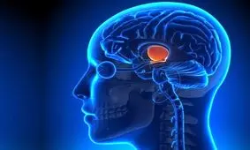 راز زندگی طولانی انسان در کجا پنهان است؟