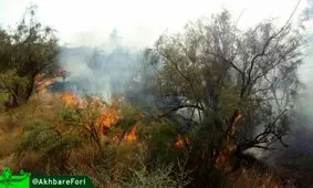 مهار آتش‌سوزی مراتع حاشیه رود ارس