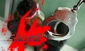 ماجرای ربودن دختر برای اخاذی از شوهر سابق