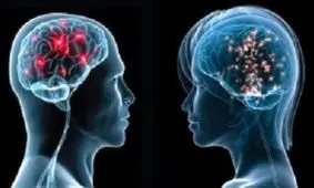 هوش جنسی چیست؟!