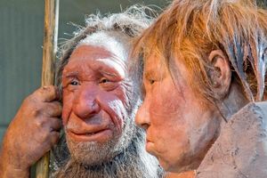 رازگشایی از نئاندرتال‌های ۱۰۰ هزار ساله با تکنیک جدید شناسایی دی‌ان‌ای