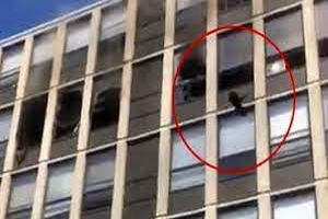 پرش گربه از طبقه پنجم ساختمان در حال سوختن/ ویدئو