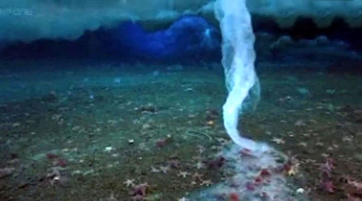 تصاویری از پدیده جالب «انگشت یخی»/ ویدئو