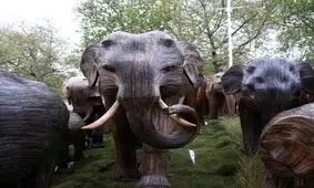 تصاویری از یک گله «فیل» مقابل کاخ ملکه بریتانیا!