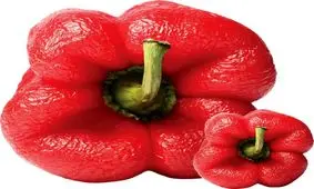 چند روش برای تازه کردن سبزی پژمرده