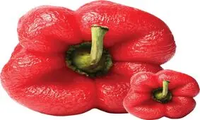 چند روش برای تازه کردن سبزی پژمرده