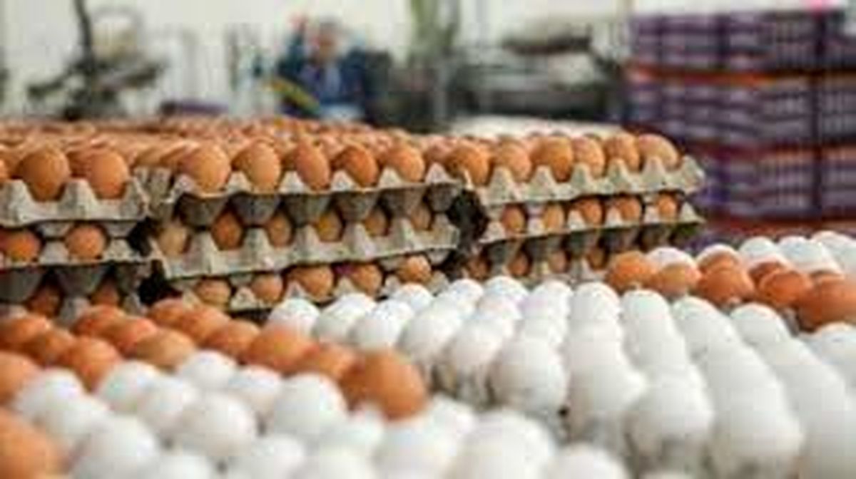 کشف بیش از 2 تن تخم مرغ قاچاق در مانه و سملقان