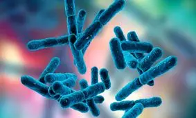 تأثیر پروبیوتیک‌ها بر افسردگی و اضطراب