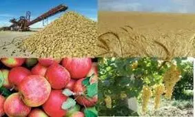 موافقت مجلس با کلیات طرح تقویت امنیت غذایی کشور و رفع موانع تولیدات کشاورزی