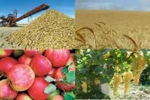 موافقت مجلس با کلیات طرح تقویت امنیت غذایی کشور و رفع موانع تولیدات کشاورزی