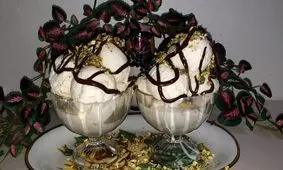 تولید نوعی بستنی برای مقابله با باکتری عامل زخم معده