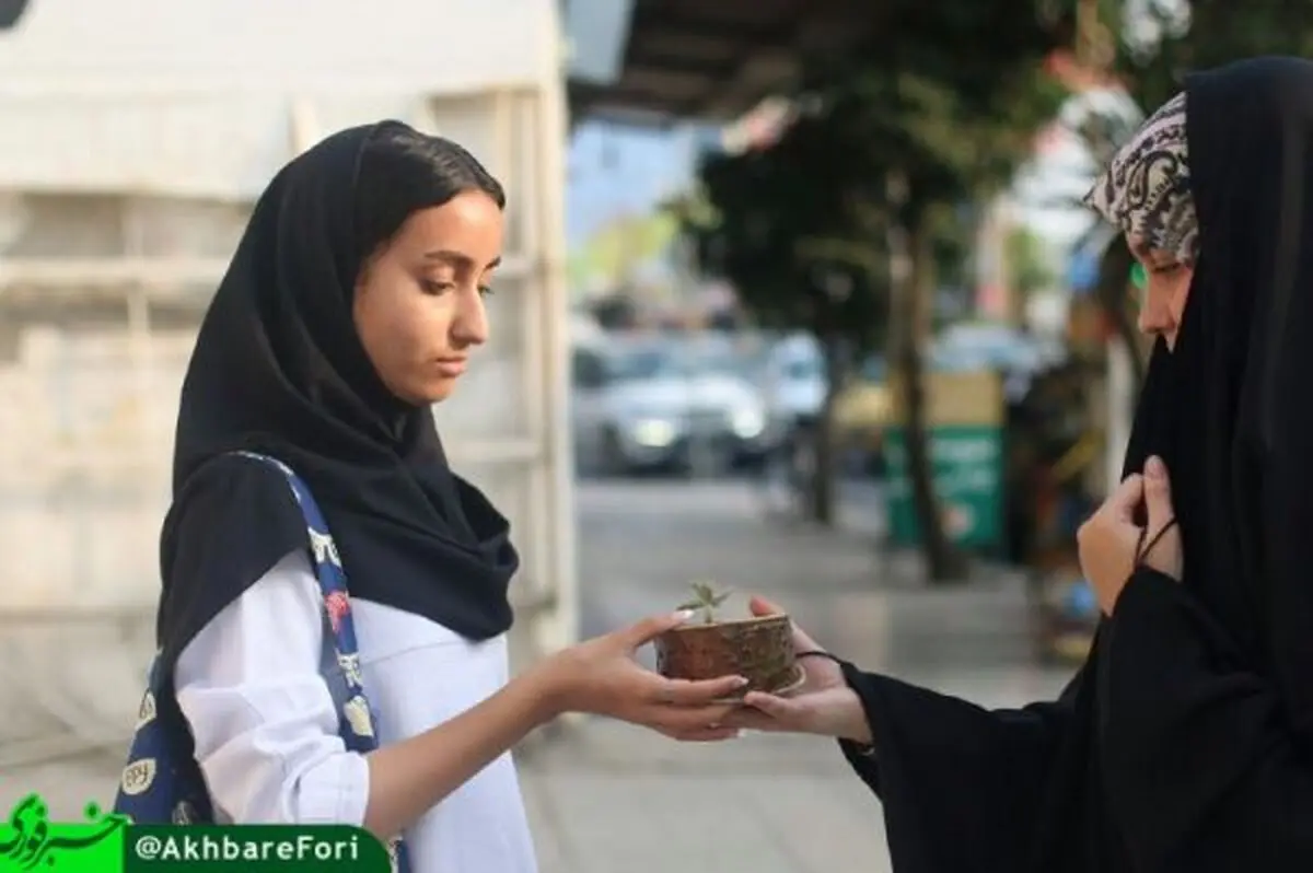 ابتکار فرهنگی بانوان بابلسری