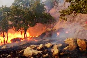 مهار ۲ آتش سوزی جنگل‌های گچساران