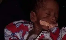 حمله موش ها به نوزاد در بیمارستان