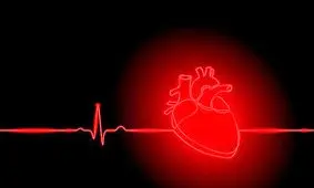 تپش یک مینی‌قلب آزمایشگاهی مانند یک جنین ۲۵ روزه