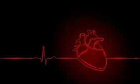 تپش یک مینی‌قلب آزمایشگاهی مانند یک جنین ۲۵ روزه