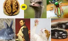 اتفاقات عجیب و باور نکردنی دنیا/ تصاویر