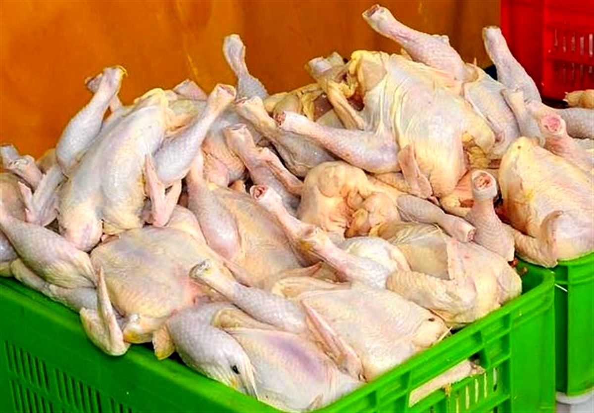 یک مسئول هشدار داد: کمبود مرغ در ماههای آینده