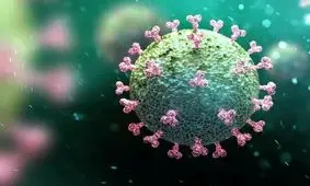 آمار ابتلاء به کرونا در جنوب غرب خوزستان ۲ رقمی شد