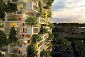 ایجاد باغچه‌ های مشارکتی در آپارتمان‌های پایتخت