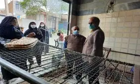 نانوایی‌ها در صدر شکایات بهداشتی/ میزان استفاده از ماسک در اماکن عمومی