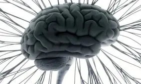 شگفتی‌های مغز در مواجهه با موسیقی