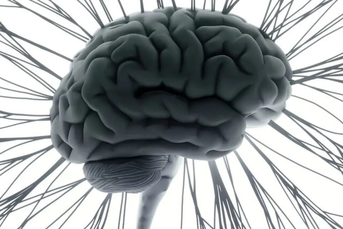 شگفتی‌های مغز در مواجهه با موسیقی