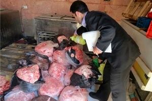 کشف و معدوم 250 کیلوگرم گوشت فاسد و غیر مصرف انسانی در ملکان