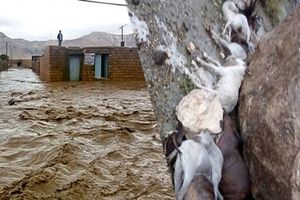 سیل و تگرگ به ۲۷ روستای اهر خسارت زد