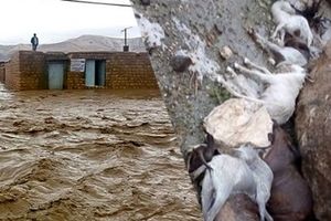 سیل و تگرگ به ۲۷ روستای اهر خسارت زد