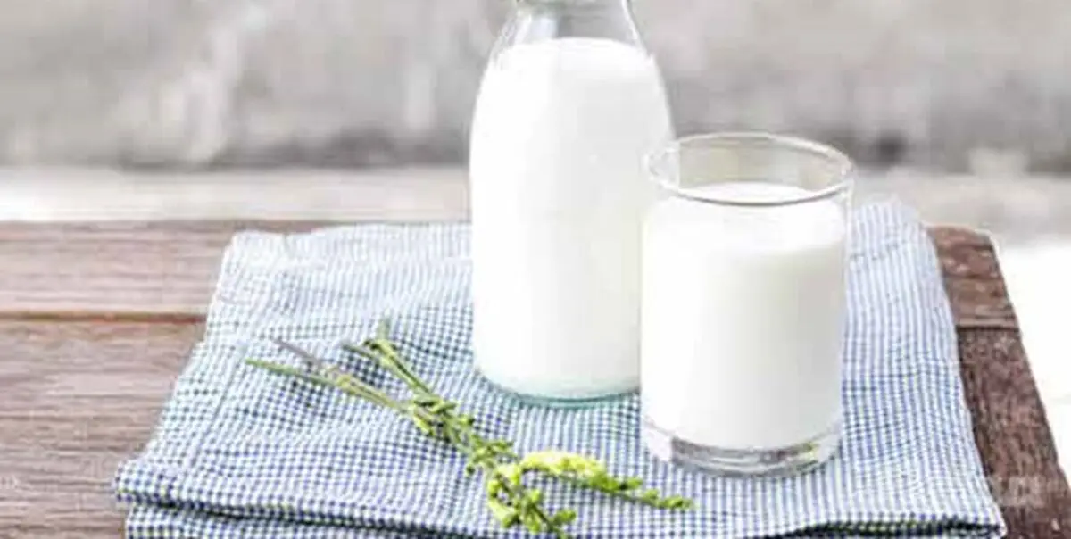 آیا مصرف روزانه شیر موجب بیماری قلبی می‌شود؟