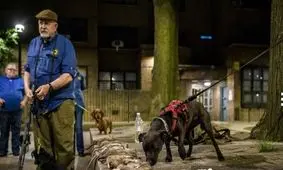 پربازدیدترین عکس‌های جهان در ۲۴ ساعت گذشته