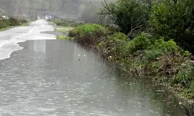 فیلم طوفان مرگبار در ورامین/ زن جوان زیر درخت شکسته شده جان باخت/ ویدئو