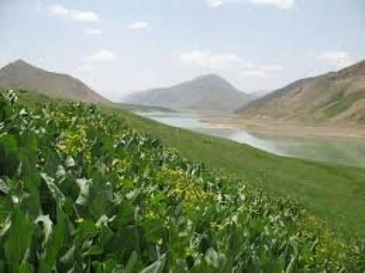مشاهده تخلفات جزیی در پارک ملی لار