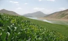 مشاهده تخلفات جزیی در پارک ملی لار