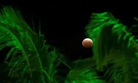 دیدنی های امروز؛ از انتخابات سوریه تا اَبَر ماه خونین