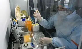 نوعی ویروس کرونا با منشا ناشناخته در برزیل یافت شد