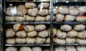 مرغ گران و مسئولانِ در خواب خرگوشی!