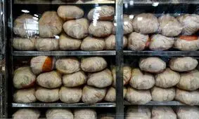 مرغ گران و مسئولانِ در خواب خرگوشی!