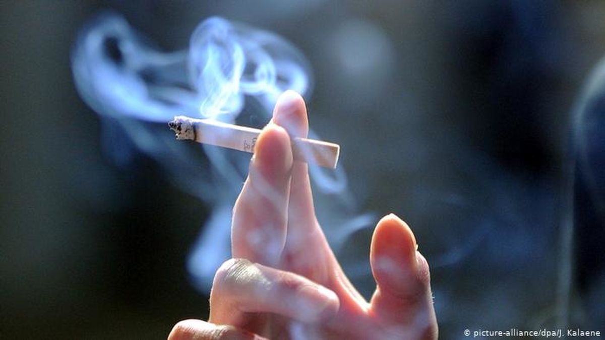 توصیه محققان آلمانی به دولت: افزایش سالانه ۱۰ درصد به مالیات دخانیات
